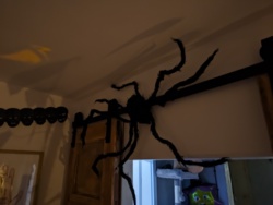 fb673029-ed2d-4d74-bee9-56d06e6e8f84