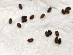 6665a7d8-496e-4fbe-89ee-98609b247b13