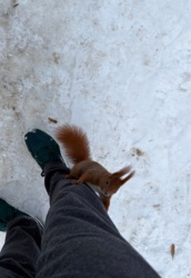 b894bdb7-d3b2-4d2f-a569-fdb39b999ac5