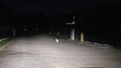 cfde611a-e6fd-4883-b3fe-e9f33cf78f83