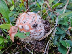 f7844905-dab1-4b9a-a4e2-5221bb0a3b69