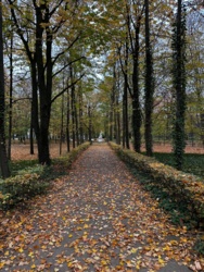 26f9cb01-1896-440e-81cd-2abd29739ba4