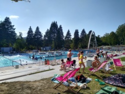 0bf102d6-297b-4931-834a-93592c255964