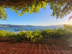 4c98e166-5b45-4bba-a0e7-3ca3a9ea21be