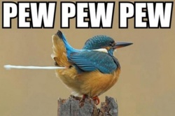 c2a5d974-bf0d-42e9-833c-d5e4b72446e3