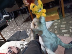 3c545b29-c67e-4009-9dd0-31b33c01fd42