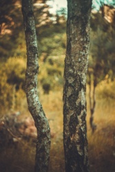 ea44c98b-175b-4a87-a59b-18b47dd5481b