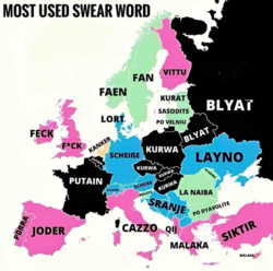 5634e055-3e5b-457d-b790-1a0d25545e5e