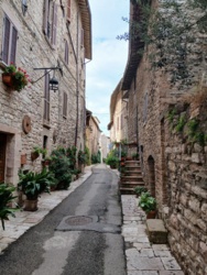 3d50babb-4448-49f2-83d4-1553d6ef5817