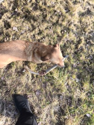 f6da758a-a1c3-4fd8-b2fd-241ef9eb7257