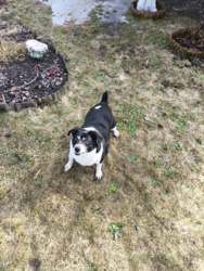 34f8a4e9-d4b5-45b3-bcea-4f2a89887235