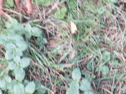 e0266996-af6e-4775-8616-993af56b573b