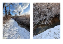 17eb2663-4375-45ad-8e84-c39dc54d3934