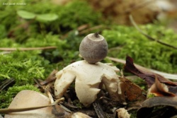 72e4f97c-9d50-46e5-bcf7-ab1bbb3b952e