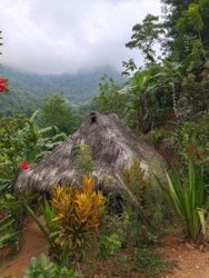 031e5736-b9ac-4b67-9a13-da3c101382c1