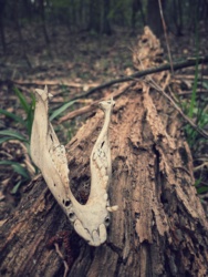 531c176c-a89e-4757-a09c-2b4bf55d81d7