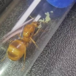 b8a4d12b-a23a-4567-81dc-7dcb5c620e8d