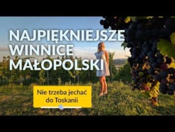 Najpiękniejsze winnice Małopolski. Piękne widoki na Dunajec bez wysiłku