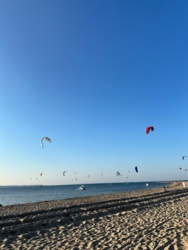 f0dbb8a8-c564-4398-914e-3903bc185ac4