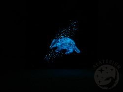 b93907a6-e33e-49b9-8602-5dbec469d28a