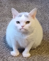 380f76ba-ce0c-4fe8-acba-18ed1a6a8ec7