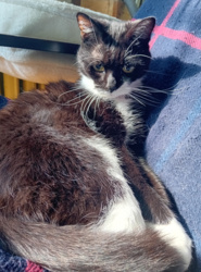 fc584721-f81b-45fe-8188-dfd09ca2ba72