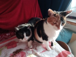 21dfeb08-dbc4-41d9-9951-4c58602e071f