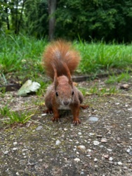 44175284-3f38-4352-9e3d-66d3eb32d761