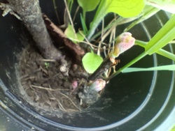 f4a4205a-4485-43de-87d3-cb23eb156797