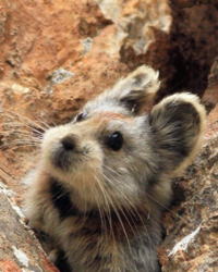 73df30fa-c905-4f4d-a966-33b5fc1eaed3