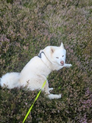 aacf1966-f87e-4681-a9ae-0ccf4cc8e799