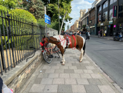 7009edeb-98a7-4953-b609-a7d2f25970a1