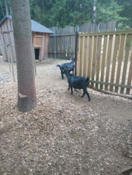 e9ddaafe-22c0-4079-912f-9fca05cdb8cf