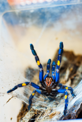 5f552f17-200b-4ede-bdfc-849a2397a2cb