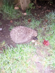 c304f06d-1743-42de-9f7c-3a2f780ac33d