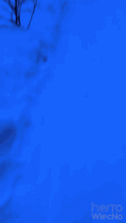 326d05ed-f897-4ff0-b93a-22f3c50f0c53