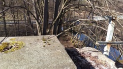 f638cce2-8988-4f29-809e-c4d533e0093a