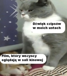 08edd897-fd61-4698-bca7-b2818f929335