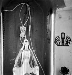 c8e9b149-b51e-48fc-a1c6-c55cd5995280