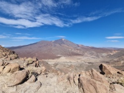 739e322a-79f2-446a-8fe2-dfabe21a915c