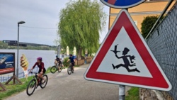 9ba4d521-f70c-43d1-85d8-cea67ebb2ba4