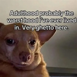 3d2fd1d0-e9bd-4aea-9a49-12470f07bb6a