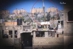 4af482ac-0556-4fd0-a316-f16da376e554