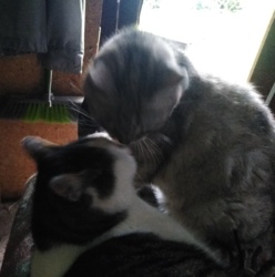 aee15b73-6f23-4f43-84f8-9cd9afd7841a