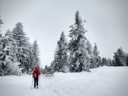 0d148cb5-1257-41d7-bc4b-3f02d2235015