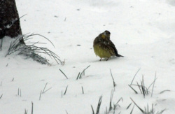 84cd30e4-a912-4b2a-b135-f6c12d434fc9