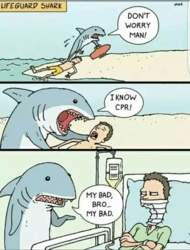 1fff7b37-70d5-4b20-9b1d-4a97683ef79d