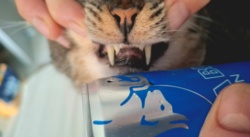 f708bfd1-2764-4e4f-a54c-985de468b8f2