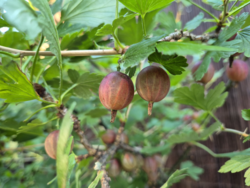 e25a4980-b61c-4292-a051-a8f1b5635adf