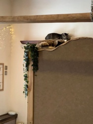 eff256af-266e-4b9b-af6b-f0a01154eb7d